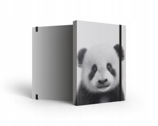 Notes A4 w kratkę z gumką Panda