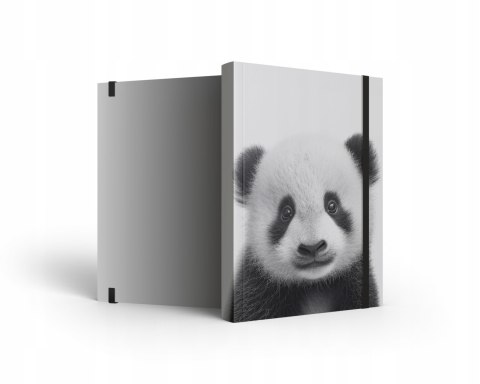 Notes A4 w kratkę z gumką Panda
