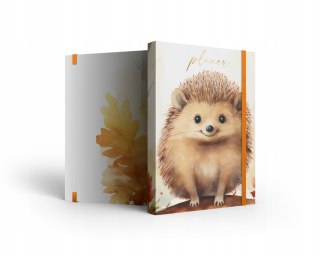 Notes w linie NOTO z gumką J08