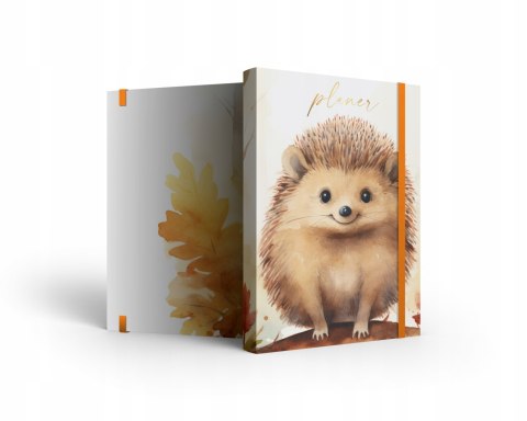 Notes w linie NOTO z gumką J08