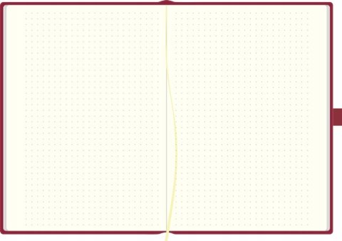 Notes B5 w kropki z gumką R14