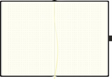 Notes B6 w kropki R14 z gumką